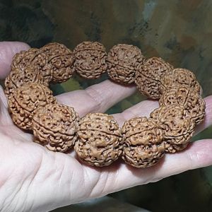 Rare XL 24mm+ Premium Nepal Rudraksha high altitude (dense & high natural oil contents) pinkish same tree both sides Plum Flower "Needle holes Honeycomb"  Double-Dragon 5 Mukhi bracelet 罕见大尺寸尼泊尔五瓣高山安娜籽粉红皮同树双面梅花针孔蜂窝双龙大金刚菩提子手串