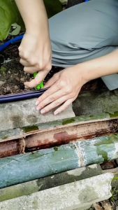 ชุดน้ำหยด ขาปัก DIY (20ขา/50ขา) ครบชุดพร้อมใช้ [เลือกทรงได้] ติดตั้งง่าย(สินค้าไทย/ออกใบกำกับภาษี)