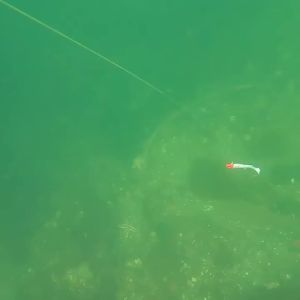 5pcs/box Fishing Bait Soft Swimming Lure with Rotator 9g/8.5CM Silicone Bait Suitable for Trout Barracuda and Bass Fixtures.