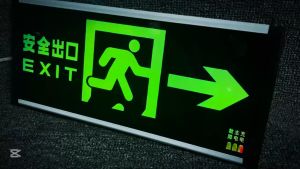 Fire Emergency Indicator Light Safety Exit Sign Evacuation LED Channel Marker Lighting AC 220V