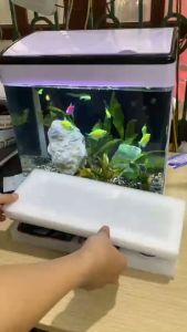 Máy ấp trứng mini tự cài bảng điều khiển có đèn soi trứng