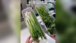 Refrigerator Food Storage Box Fresh Keeping Airtight Sealed Large Transparent Container for Kitchen Vegetables