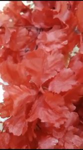 Bunga Artificial Sakura Ukuran L (H-006)