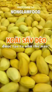 Xoài Sấy Dẻo NONGLAMFOOD Hương Vị Tự Nhiên Dẻo Mềm Trái Cây Sấy Hoa Quả Sấy Đồ Ăn Vặt Túi 50g