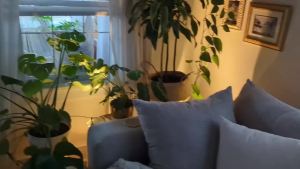 10W Indoor Spotlight with Timer and Remote Adjustable Color Temperature & Dimmable Accent Spot Lights for WallPlantArtwork