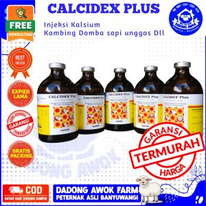 CALCIDEX PLUS 100 ml Obat lumpuh (Broyongen) Sapi Kambing DOMBA Injeksi kekurangan Mineral Kalsium
