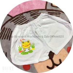 Combo 5 quần đùi quần ngắn cộc bé gái 100% Cotton Kiểu bèo Phồng  9-18kg hiệu miut