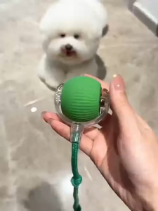 Dog Toy Smart Interactive Tease Dogs Toys Ball with Tail Type-C charge Bite-Resistant Avoid Obstacles After Collision Pet Toy