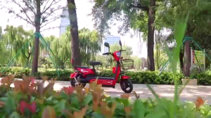 AENXRD E Bike 2026 electric bikes 2 Wheels Electric Bikes Electronic Bike For Adult Ebik 48v12ah