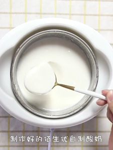 [Exp:2026/05] Bisour Kefir Yogurt Starter 40 Probiotics