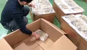 2025 Tokyo Revengers Hanemiya Kazutora Sano Manjiro Matsuno Chifuyu   Orange Hyuga Field Keisuke cos Wig