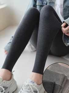 MiiOW | Quần dài cotton cạp cao MiiOW dành cho nữ mùa xuân 2025 Quần dài bó Nine Points mỏng co giãn màu xám