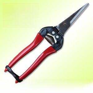 ARS 300L Pruning Shears Long Nose Fruit Pruning Scissors Bonsai Garden Tool Branch Pruner Floral Delivery Green Plant Gardening