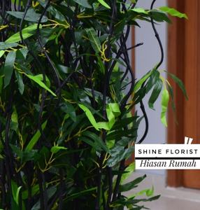 Dekorasi Rumah Tanaman Artifisial 10 Btg Bambu Ulir Hitam Daun Bambu 170cm (Tanpa Pot)