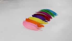 2pcs DIY Small Machete Feather Color Feather Handicraft Jewelry Accessories (2129)