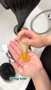 [COMBO] Dầu Gội Dầu Xả Thảo Dược Cỏ Cây Hoa Lá Gừng Sả Ngăn Tóc Bết Dầu Hỗ Trợ Mọc Tóc 500g