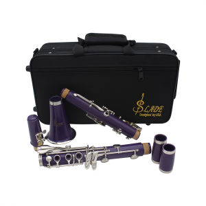SLADE Clarinet Bb Clarinet 17 Keys 6 Rings Purple Blackwinds Professional Woodwind Instruments With Accessories Clarinet Bag
