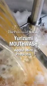 Yurizumi Probiotik Apple Mint Mouthwash Obat Kumur Perontok Karang Gigi dan Bau Mulut