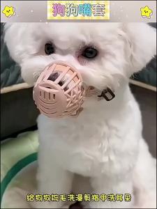 VOA | Mặt Nạ Chống Cắn Chống Sủa cho Chó Trung và Nhỏ