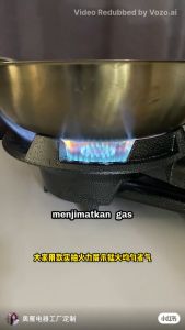 BUTTERFLY BGC-20A Gas Stove | Auto Ignition | Cast Iron Burner | High Pressure Cooker