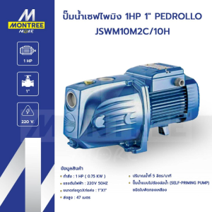 PEDROLLO ปั๊มน้ำเซฟไพมิง 1HP 1" รุ่น JSWM10M2C/10H ปั๊มน้ำแบบไม่ต้องล่อน้ำ จำหน่ายโดย Montree More