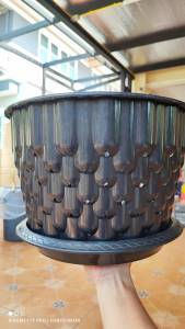 กระถางปลูกกันชา 15 นิ้ว พร้อมจานรองกระถาง