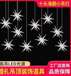 Đèn Acrylic Acrylic Starfish Chandelier Đồ Trang Trí Đám Cưới Đèn Sa Mạc Trong Suốt Đèn Trang Trí Trần Nhà Đầy Sao Đêm