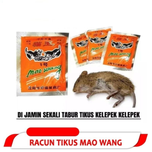 Racun Tikus Mati Kering Mao Wang: Solusi Anti Tikus Rumah Mobil