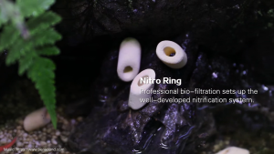 MOUNTAIN TREE Nitro Ring 1L | Premium Biological Filter Media | High Surface Area Ceramic Bio Media for Aquarium & Koi Pond