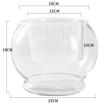 Transparent Glass Hydroponic Vase