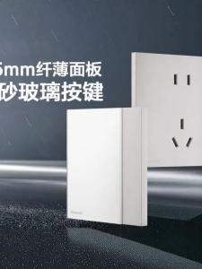 Panasonic | Dual Control Power Outlet Panel 16A