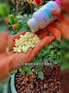 200ps Protect The Plant From Insect Pest Control Racun serangga tanaman Plant insect repellent Pesticides for plants flower Racun serangga untuk daun
