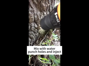 Weed killer Tree/Bamboo 500g dead roots destroy Grass Strong Penetration Racun Mati Akar Cleaned Remove Rotten 除草剂