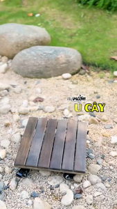 Chân Đế Chậu Cây ANKAN Cao Cấp Chính Hãng Tải Trọng 120Kg Vuông 30cm Màu Hạt Dẻ Bền Đẹp