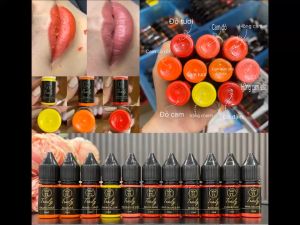 Mực xăm Traily phun Môi Mày Mí 12ml - Mực phun xăm màu đậm tự nhiên xử lý Trổ xanh trổ đỏ Khử thâm môi tốt