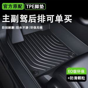 Full Coverage TPE Car Floor Mats Single Piece Front Rear Customized Fit Silk Circle Carpet Interior Accessories for Various Car Models