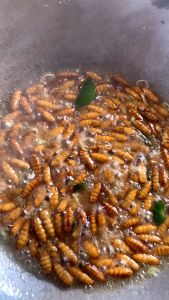 ดักแด้ทอดพร้อมทาน OHO โปรตีนสูง อร่อย ทอดตามออเดอร์