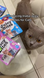 11.3g Ciao Inaba Juicy Bites Cat Treat Cats Snack Food Pet Adult Kitten