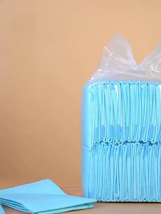 【KenCo】แผ่นรองฉี่สุนัข แผ่นรองฉี่ รุ่นชาโคล ยถ่านหินคาร์บอน ช่วยฝึกขับถ่าย ระงับกลิ่น ซึมซับไดีดี ยิ่งขึ้น มี 4 ขนาดให้เลือก