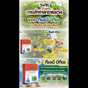 + ซื้อ 1 แถม 1 + ทีเอบี บีทีเอ ขนาด 1 กก. ยาเชื้อบีที บาซิลลัส ทูริงเยนซิส ซับสปีชีส์ ไอซาไว กำจัดหนอนดื้อยาในผัก Bacillus thuringiensis subsp. aizawai 32000 IU/mg 4% WP