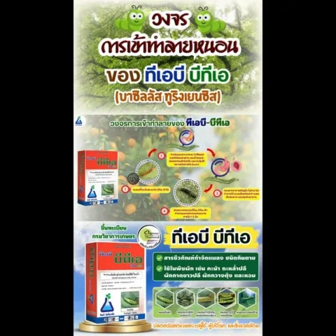 ทีเอบี บีทีเอ 1 กก. กำจัดหนอนดื้อยา