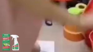 MoonSpry  น้ำหอมสเปรย์ไล่หนูมิ้นต์   น้ำยาไล่หนูสำหรับเครื่องยนต์รถยนต์ ภายนอกและภายใน