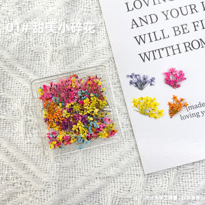 Romantic Mini Dried Flower Nail Art Decorations Mixed Assorted Petal Fairy Country Style DIY Nail Decoration Beauty Tools