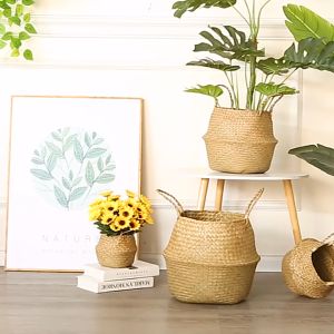 ที่ใส่กระถางต้นไม้ กระจูดสาน เป็นกระจูดที่เป็นไปตามทุกท่าน กระถางต้นไม้ ที่ใส่กระถางต้นไม้ กระถางสาน สีธรรมชาติ