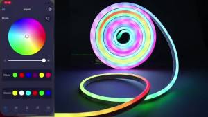 DC24V 3535 RGBIC Neon LED Strip Lights Bluetooth Neon Rope Light with Music Sync Dreamcolor Chasing Strip Tape with EU/US Plug