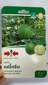 ศรแดง แตงโม เบบี้กรีน จำนวน 50 เมล็ด/ซอง หมดอายุ 21/02/2569 แตงโมอ่อน ลอตใหม่ งอกดี ติดลูกดก ทรงผลสวย เก็บเกี่ยวไว ระยะเก็บเกี่ยว 30 วัน npkfarm