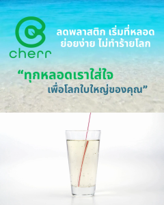 (ยกลัง) cherr หลอดกระดาษชานอ้อย ขนาด 6x215 mm. (2400 เส้น) สีน้ำตาล (หุ้มซองขาว) ย่อยสลายได้