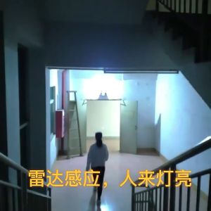 VLS Motion Sensor Light Bulb LED Sensor Bulb E27 12W Radar Human Sensor Bulb Auto ON/OFF Energy Saving Corridor Sensor Light Bulb