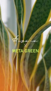 Thạch giảm cân Vital Beautie Meta Green Calorie Cut Jelly Hàn quốc