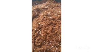 3 Gallon Coco Perlite Mix - Clean & Low EC Coco Peat
